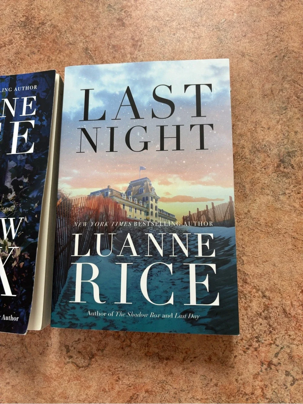 Luanne Rice 2 mystery book bundle